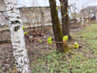 Similar image 22188664