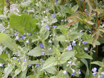 Similar image 22188668