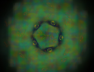 Similar image 22192049