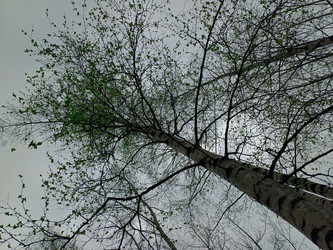 Similar image 22188896