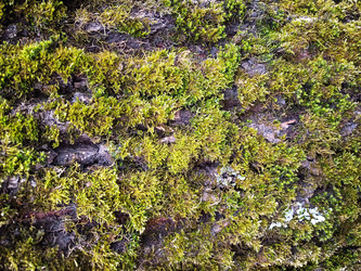 Similar image 22188897