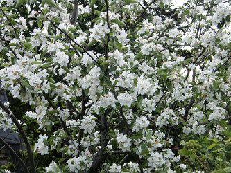 Similar image 22188901