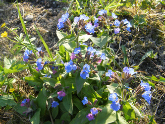 Similar image 22188903