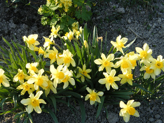 Similar image 22188905