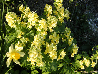 Similar image 22188906