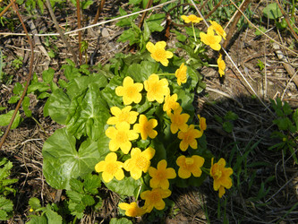 Similar image 22188907