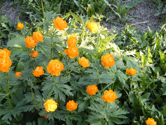 Similar image 22188910