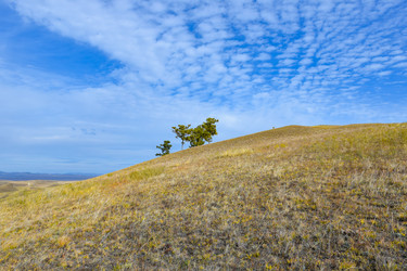 Similar image 22188674