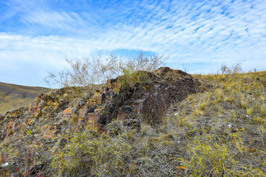 Similar image 22188682