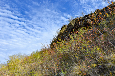 Similar image 22188693