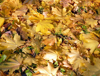 Similar image 22190663