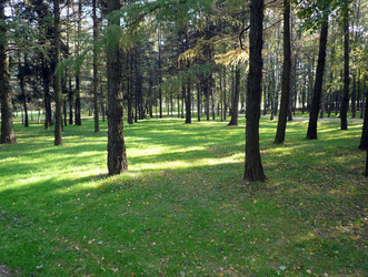 Similar image 22190667