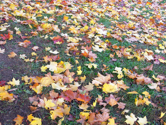 Similar image 22190669