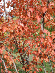 Similar image 22190681