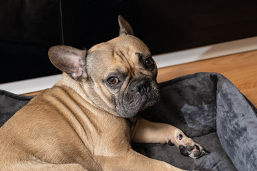 Similar image 22189682