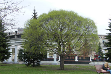 Similar image 22188925