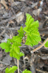 Similar image 22189048