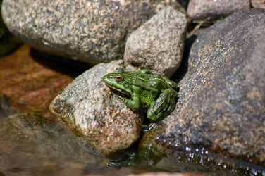 Similar image 22189377