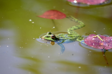 Similar image 22189378