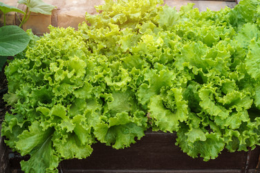 Similar image 22188735