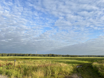 Similar image 22188696