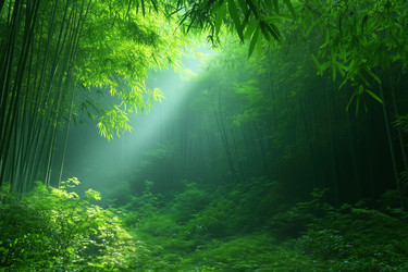 Similar image 22188955