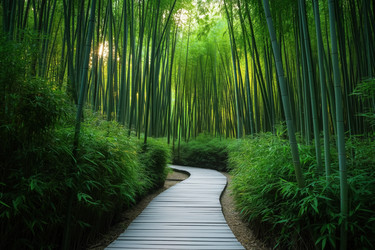 Similar image 22188956