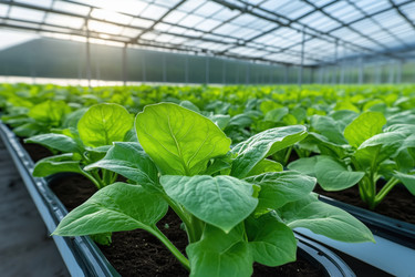 Similar image 22188957