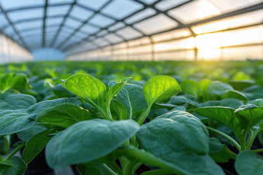 Similar image 22188959