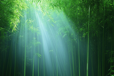 Similar image 22188961