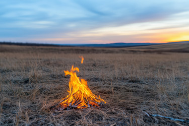 Similar image 22188778