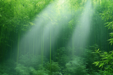 Similar image 22188783