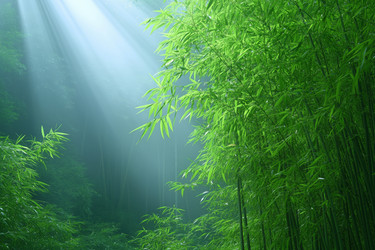 Similar image 22188784