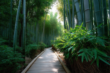 Similar image 22188788