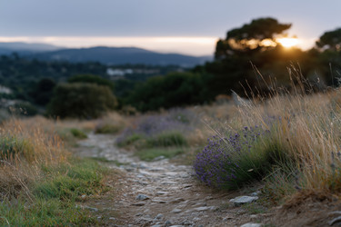 Similar image 22188791