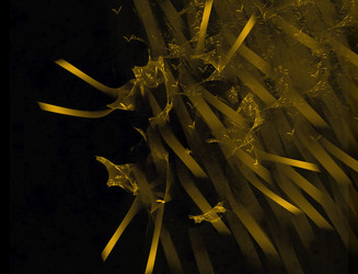 Similar image 22191712