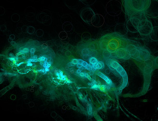 Similar image 22192065