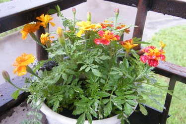 Similar image 22188980