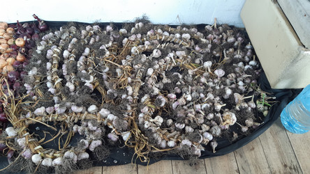 Similar image 22188982