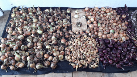 Similar image 22188983