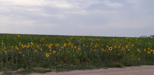 Similar image 22188986