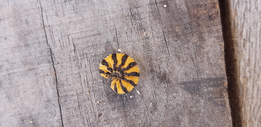 Similar image 22188998