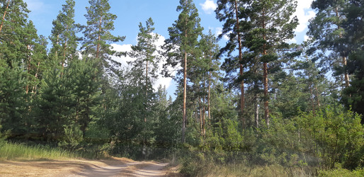 Similar image 22189000