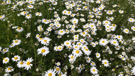 Similar image 22189001