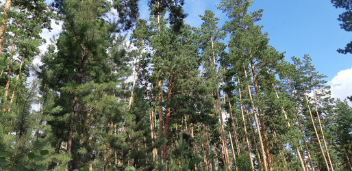 Similar image 22189002