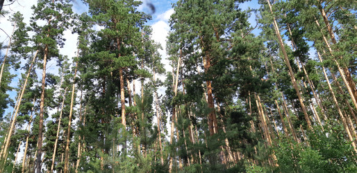 Similar image 22189003