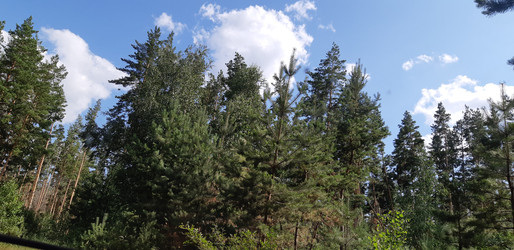 Similar image 22189005