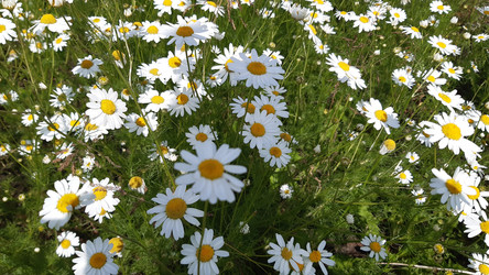 Similar image 22189006