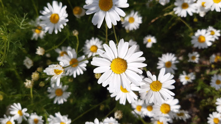 Similar image 22189007