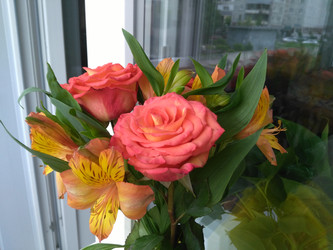 Similar image 22189008